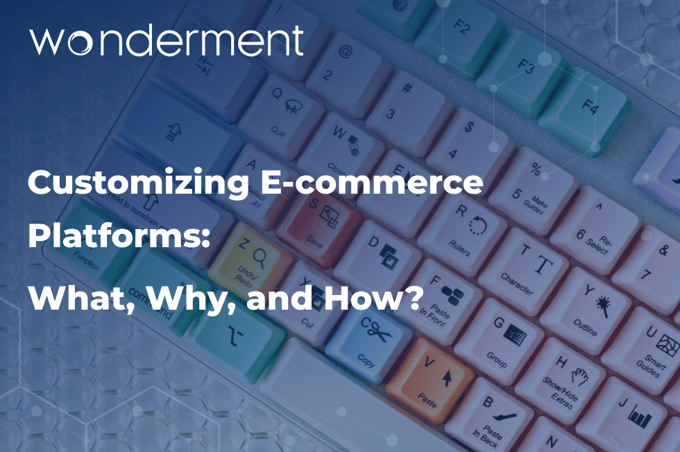 Customizing E-commerce Platforms: What, Why, and How?