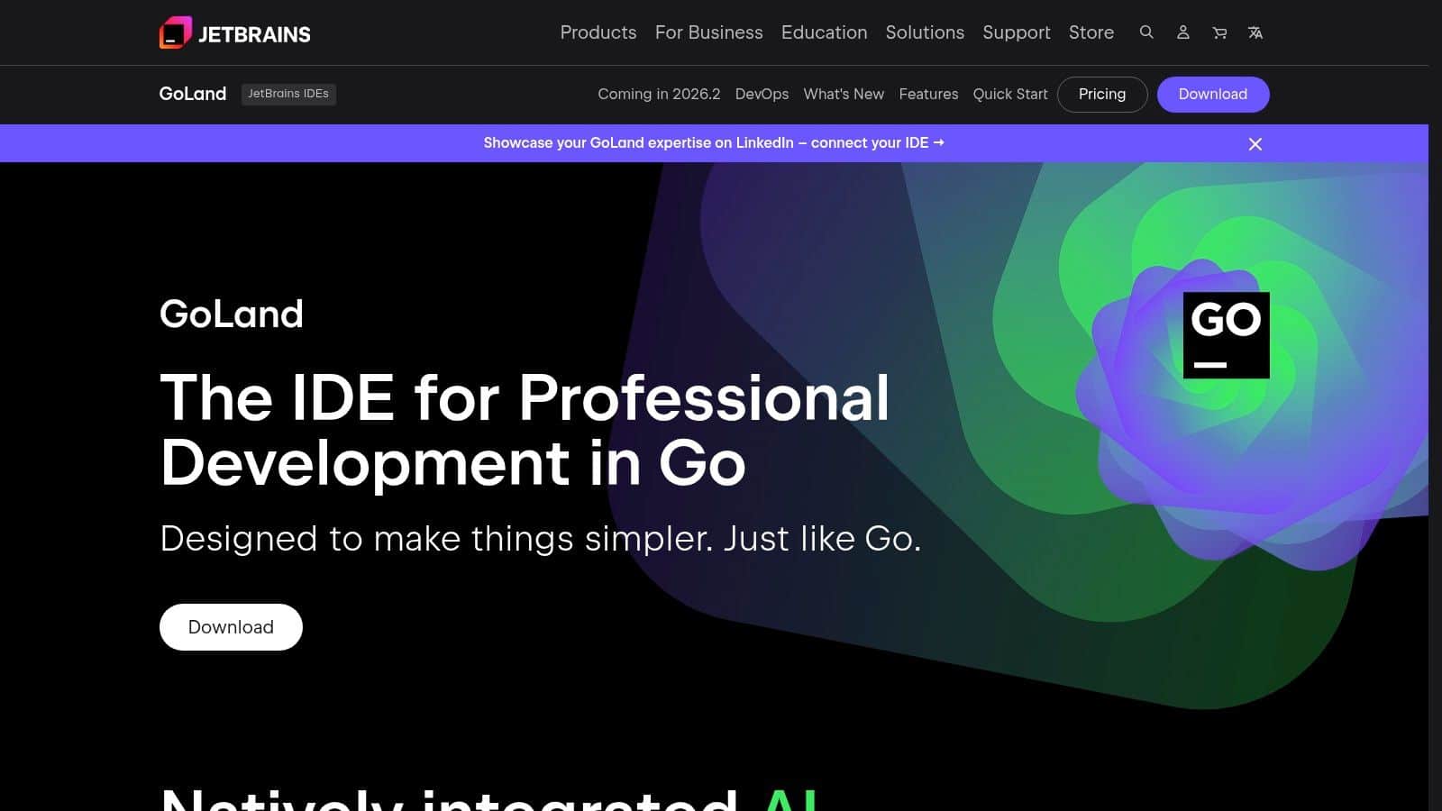 JetBrains GoLand