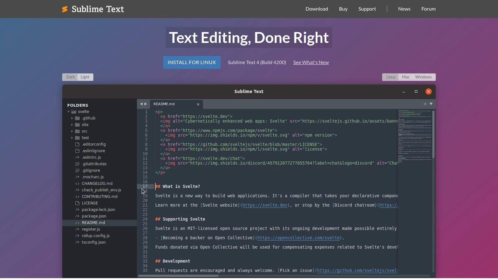 Sublime Text + LSP (gopls)