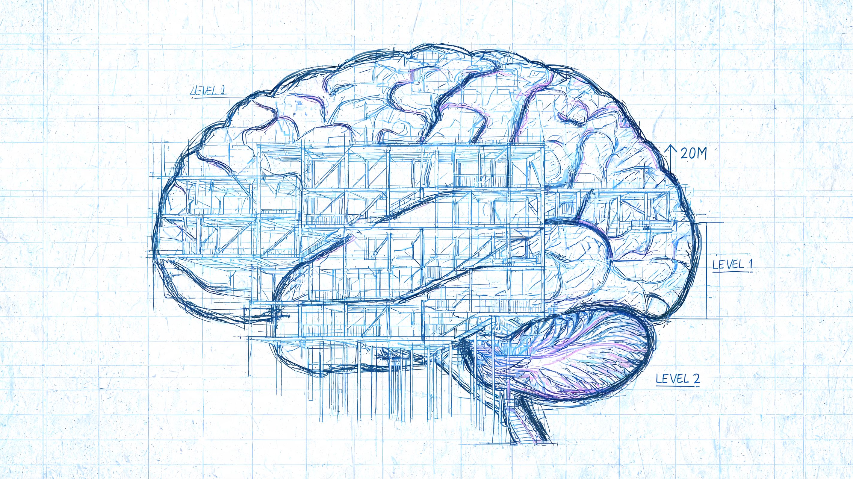A creative sketch blending an architectural building blueprint with the outline of a human brain.