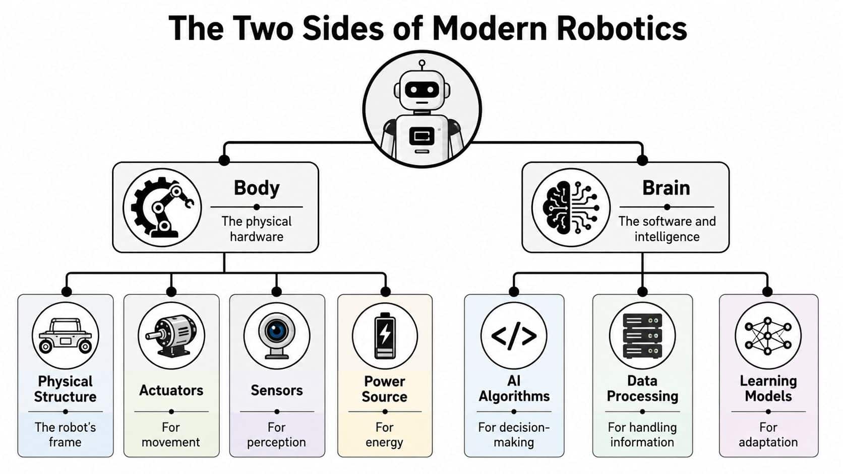 A diagram illustrating the two sides of modern robotics, divided into the physical body and digital brain.